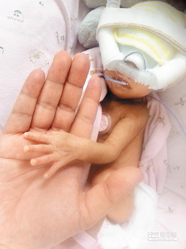 �_1350�˰��Ƌ냺�Č������g�ɹ������޼o䛣��D��