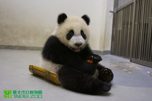 �_������؈���A�С���������(zh��n)���M(j��n)܊����չ�����D��