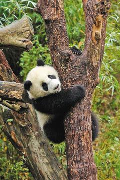 �_������؈�������A�С�������ˣ������˯���D��