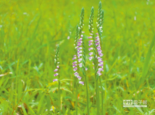 �_(t��i)���P(gu��n)�ɹ��@��ϡ�R���_(k��i)���@�������οͲ���(d��ng)��