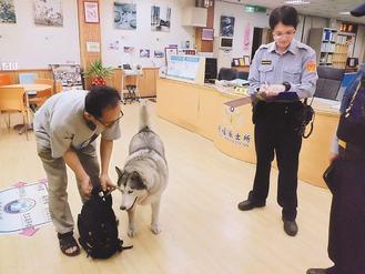 �ɟṷ�����~��̫���ʿ��ه�̵겻�ߣ��D��