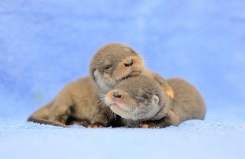 �_��ˮ�H�������_�p�۠�����æ�������T���D��