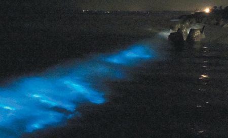 ���T�Ϻ������F���{�ۜI�����^�񱊠��ã��D��