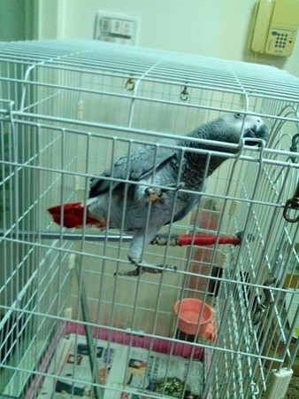 �W�^��æ�������ɽС��Ϲ������D��