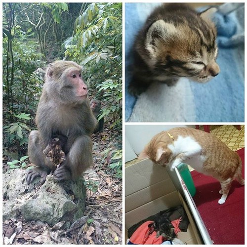 �_���J���͵С؈ý�w���ķQϵ���۷��E���D��