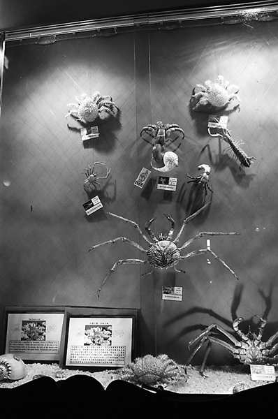 �_(t��i)���r(n��ng)��(ch��ng)���Ҽ��н^�