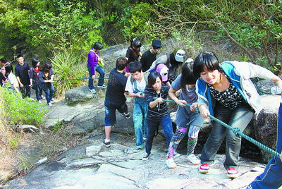 �_����W�����^���_����44���д�����̎��