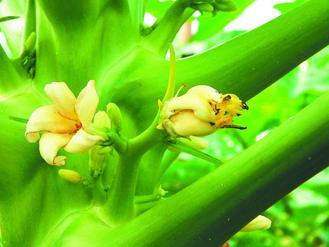 �_���ߜ؁��u���uҲ���� ľ���_�����λ�(�D)