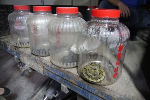 �����(n��i)�д������������ǐ��������D��