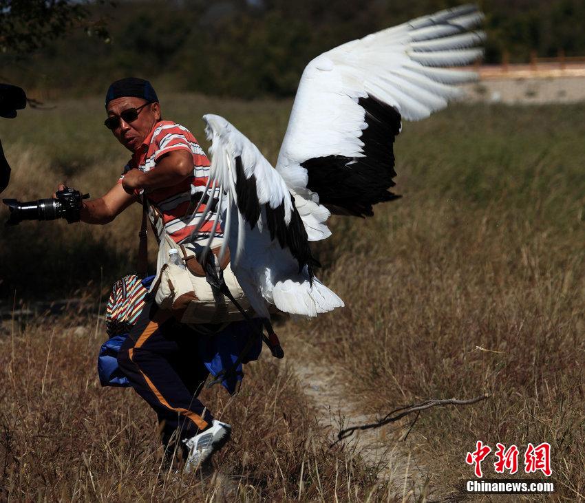 �ο���Ұ������Q���u �ǪN�ӸZ�U������