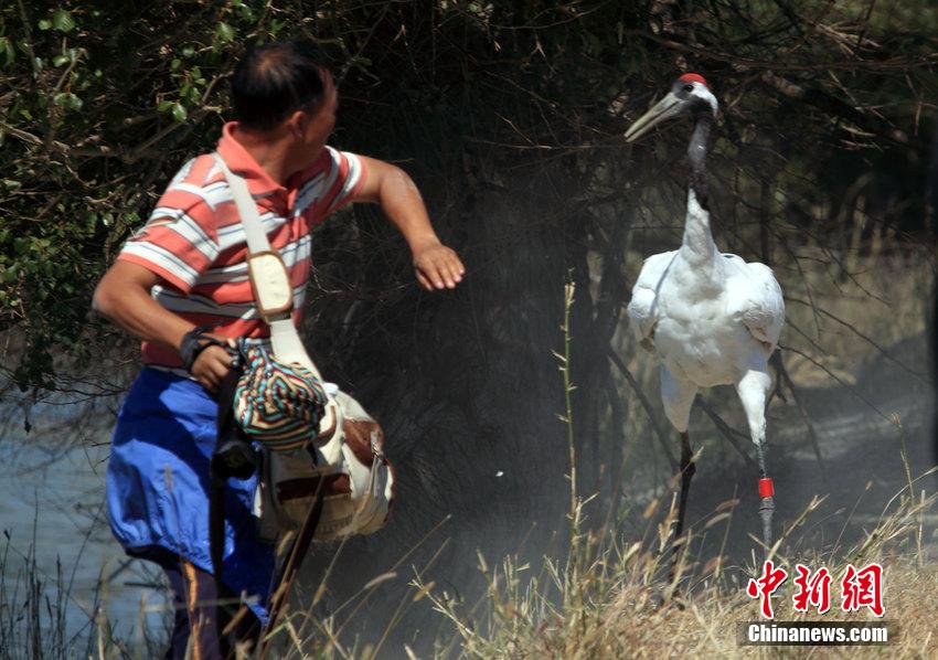 �ο���Ұ������Q���u �ǪN�ӸZ�U������