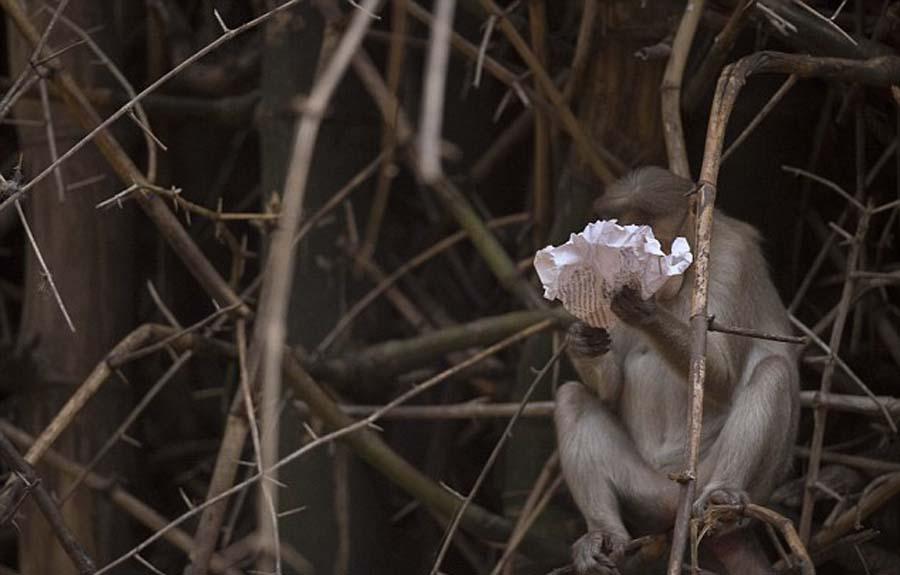 ӡ��J�����Ϳ��� ��x�������