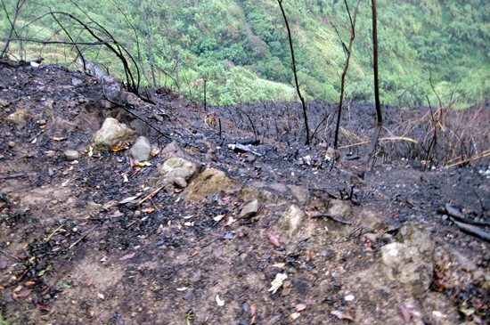 ����ɽ�ӟ�5��해��Ϩ��F(xi��n)��(ch��ng)�ɽ������D��