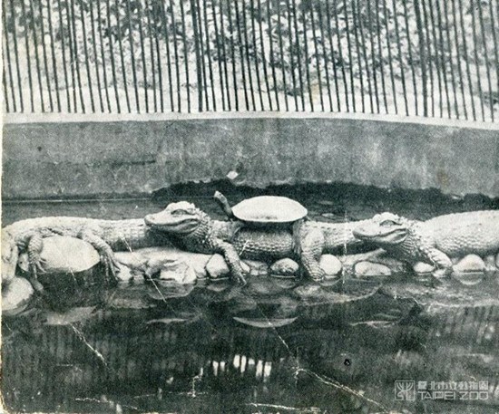 �����_������@���ݶ�������ӛ �`�L��ڵص�����(�D)