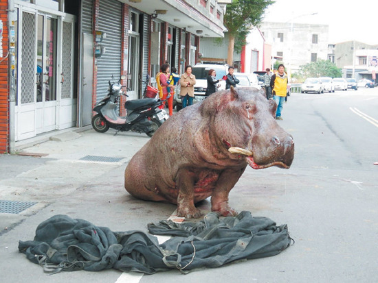 ���޴���R�����ӡ���؛��܇��������܇�⣬�_ײ·߅��ɫ�I܇������Ѫ�E