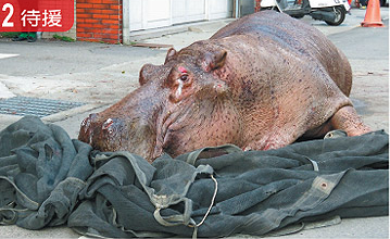 ˮ�������]���� �_����܇ˤ�����I���R����(�D)