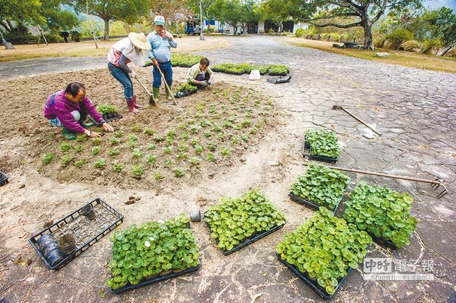 �_(t��i)��ȱˮ���ݸ� �r(n��ng)��S�������ɫԹ����