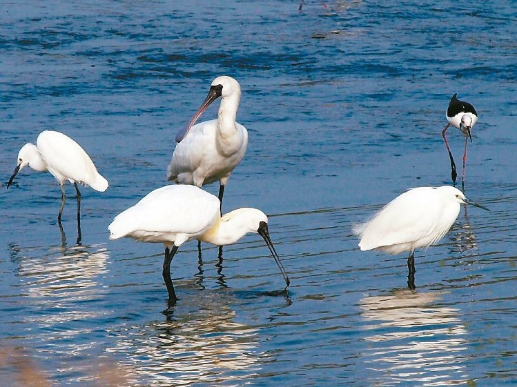 �_���������߅^�U��14�h�� �_�|�S��