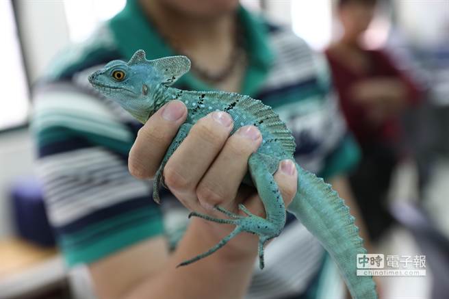 ��`���p����