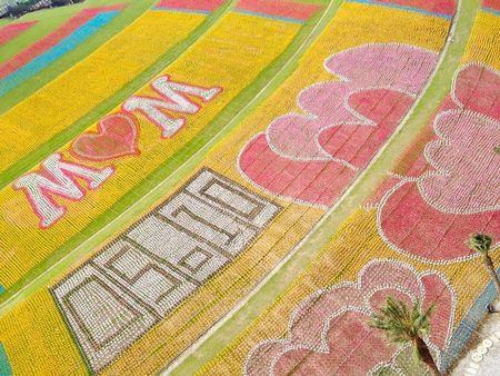 ��ӭ��ĸ�H����λ�ڻ�¡�ē����Ą��@�^����12�f֧�L܇ƴ�ɾ޷�����ܰ�ؾ�