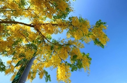 �_�ϻ��_�M�� �P�˻��������ՠ��ข�G(�D)