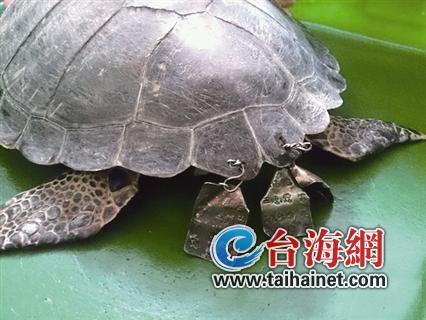 �G�P�����F�Ʊ����� ���l(f��)�_(t��i)�����(hu��)��(zh��ng)�h(�D)