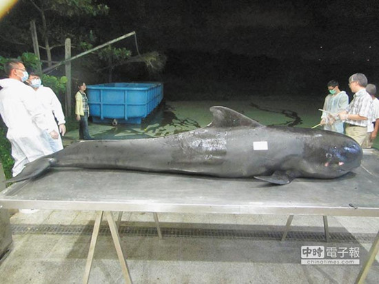 ���L�R�\���� 10�����������Mθ(�D)