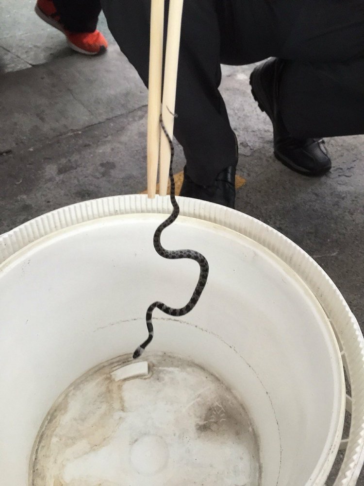 �_�F��܇�@�F(xi��n)30����С�� ܇�L�^��ͽ�ֲ��@