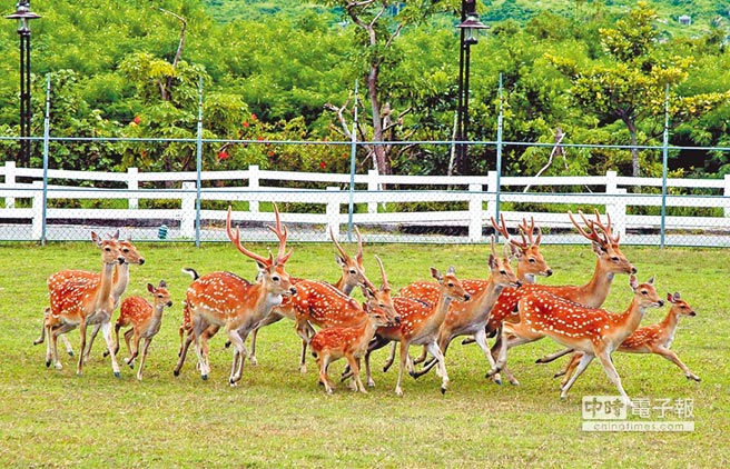 �㴺÷��¹��(f��)���гɅs���������g���(zh��n)������һ�ɽY(ji��)����