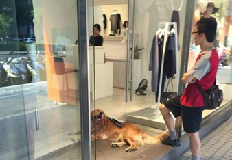 ��ë������⡰ه�����ߡ� �������^�ȷ��W�ѣ��D��