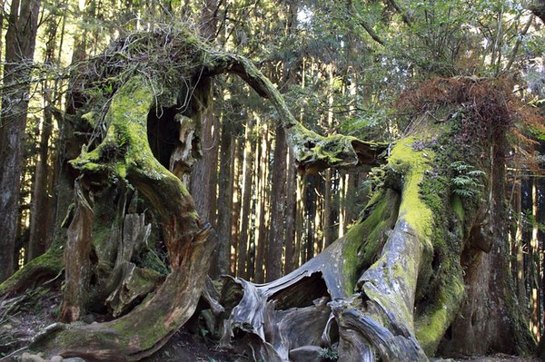 ����ɽ ���c ���Yͬ��