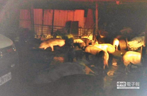 �_��һ�i����tˮ����ȼ300�^�i�������������D��