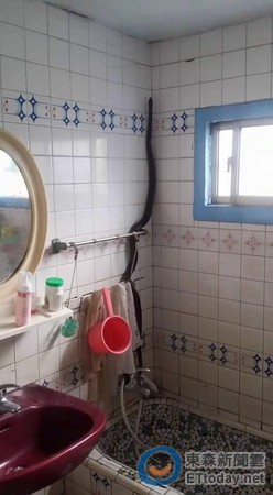 �@ֻ�ߌ�(sh��)���Ǵ�׌�����˶������������D���W(w��ng)���˹����ṩ��