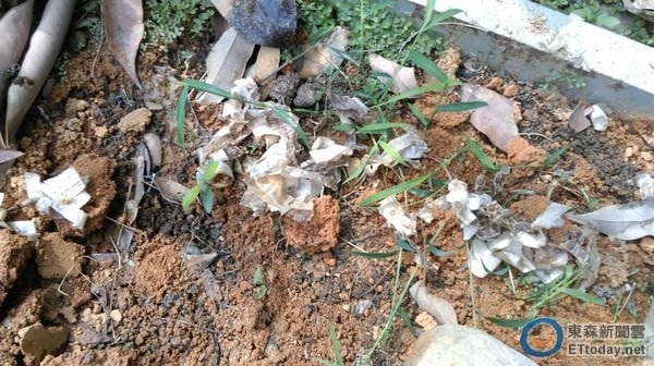 ���ߞ��׷�����bɏ���^ �W�ѣ�һ�Y�ݲ���ϴ��