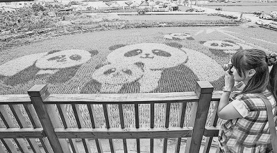 �_���r(n��ng)��Ą�(chu��ng)��֮�����ķN�ﵽ���u�L(f��ng)��������׃