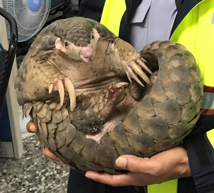 ��ˮ�����ҡ� ��ɽ��������^���ˑz���D��