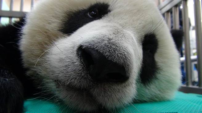 ���A�С��w�z�`����^��Ŀǰ������ų������o�K�����D/���Еr��ӈ󡷣�