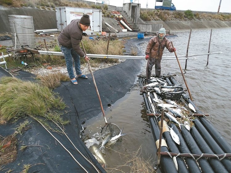 �������u�_(t��i)�B(y��ng)ֳ�I(y��)���؄�(chu��ng) �I(y��)�ߓpʧ�ֳ�ǧ�f(�D)