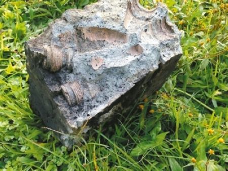 �����r(n��ng)����ʯ��t����ʯ�K�в؏�ˎ�^����ը