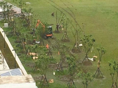 �_���������@�N�M�ѻ��s�������u��׃���ˡ�