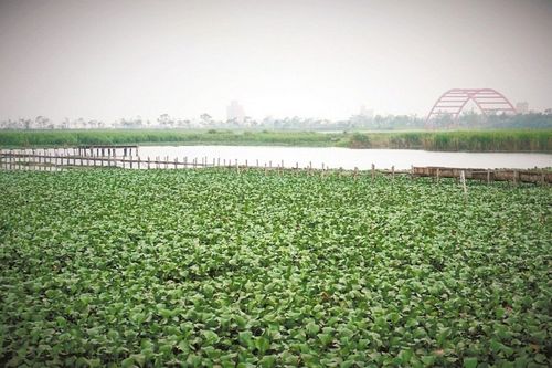 �������ӽM�F���~͵�B�����m 52�ם��׃�������ã�