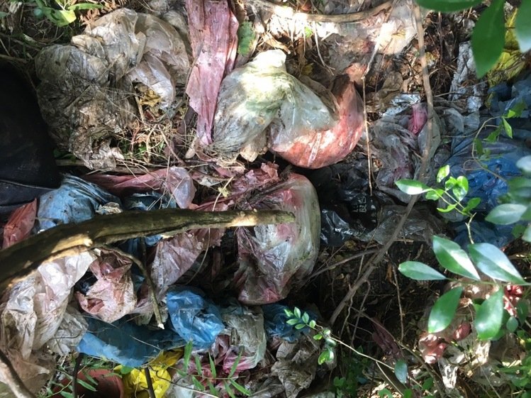 �I�I��ʣ���E��@ ��ǧ�f�F�𾹱��ӷ�����������