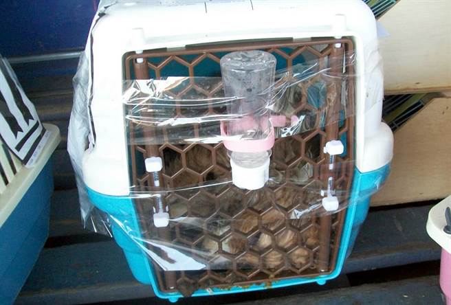 �����ˆT���z���̶�ˮƿ�����¹��\ͨ�L���Ӑ��������DƬ��Դ���_�����Еr��ӈ󡷣�