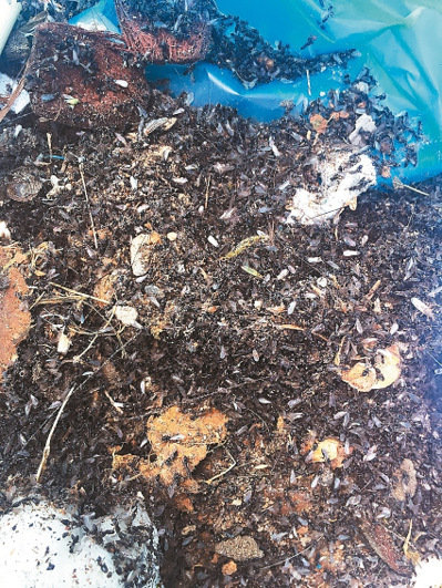 ��Ͷ�h��(gu��)���l(xi��ng)���������׳�С��ρ�����DƬ��(l��i)Դ���_(t��i)����(li��n)�ψ�(b��o)����