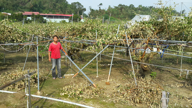 �����ೲ���r�K����17��һ�絽���@�쿴�ēp�����ҾW�ӱ����L�������W�ܺ͗���ȫ��A�������I�������޹��@���X���п��B��