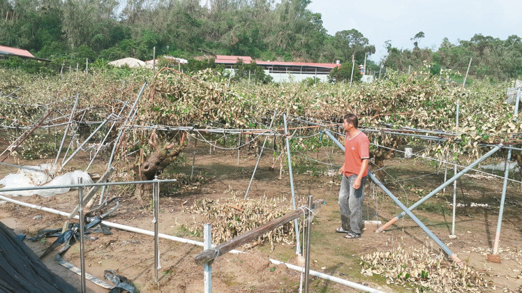 Ī�m���_�L�؄�(chu��ng)���r(n��ng) ȫ�_�r(n��ng)�p�ư˃|���_��