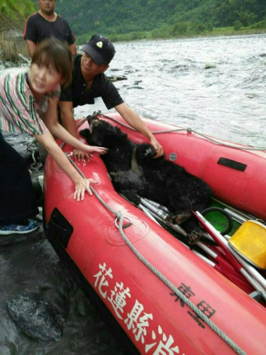 ����ɏ�h׿Ϫ�l(xi��ng)��������Ϫ�����ϰ��ٲ��ĺӴ���2��ǰ�l(f��)�F(xi��n)1ֻ�_���������P�ںӴ��ϣ���(d��ng)�r(sh��)��Ϫ���ļ��o���ӽ���24�������ˆTǰ����Ԯ��������(���ṩ) �������硱ӛ�߱R̫���_�|����