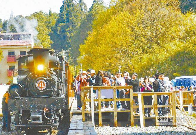 ����ɽɭ���Θ��^(q��)�����ꑿ͈F�����