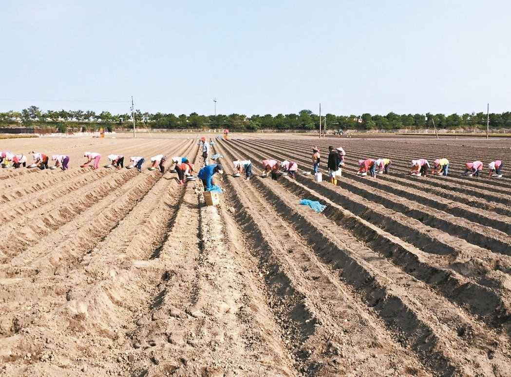 �_(t��i)��(d��ng)�֌�����W(xu��)���M(f��i)�����r(n��ng)���� ÿ����ǧ�˾�ȱ��