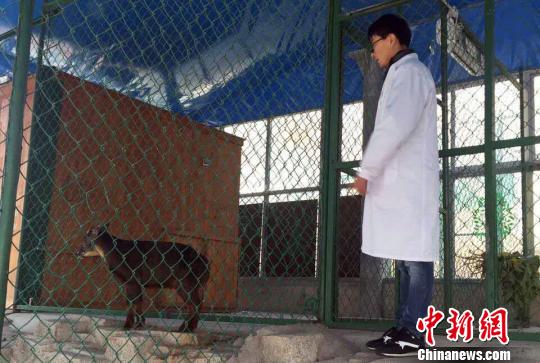 ����ÿ������rѲҕ�����^��,�J���^�������О��B������ɭ�� �z